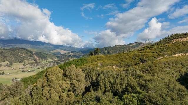 Lot 17 Drumduan Rise Subdivision Hira_4