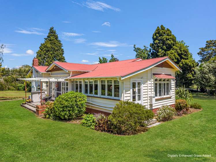 30 Colebrook Road Edgecumbe_9
