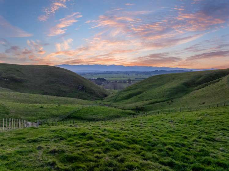 5/546 Masterton Castlepoint Road Masterton_6