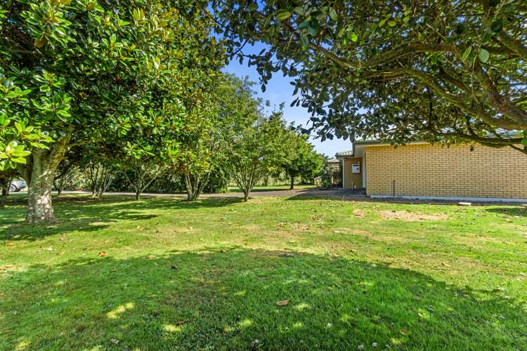 690 Frontier Road Pirongia_13