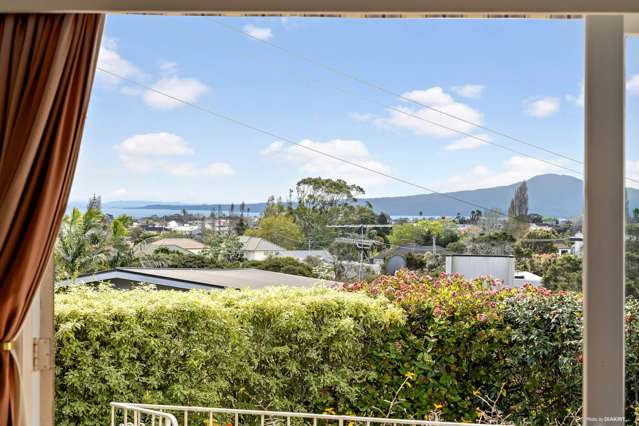 23 Lammermoor Drive St Heliers_2