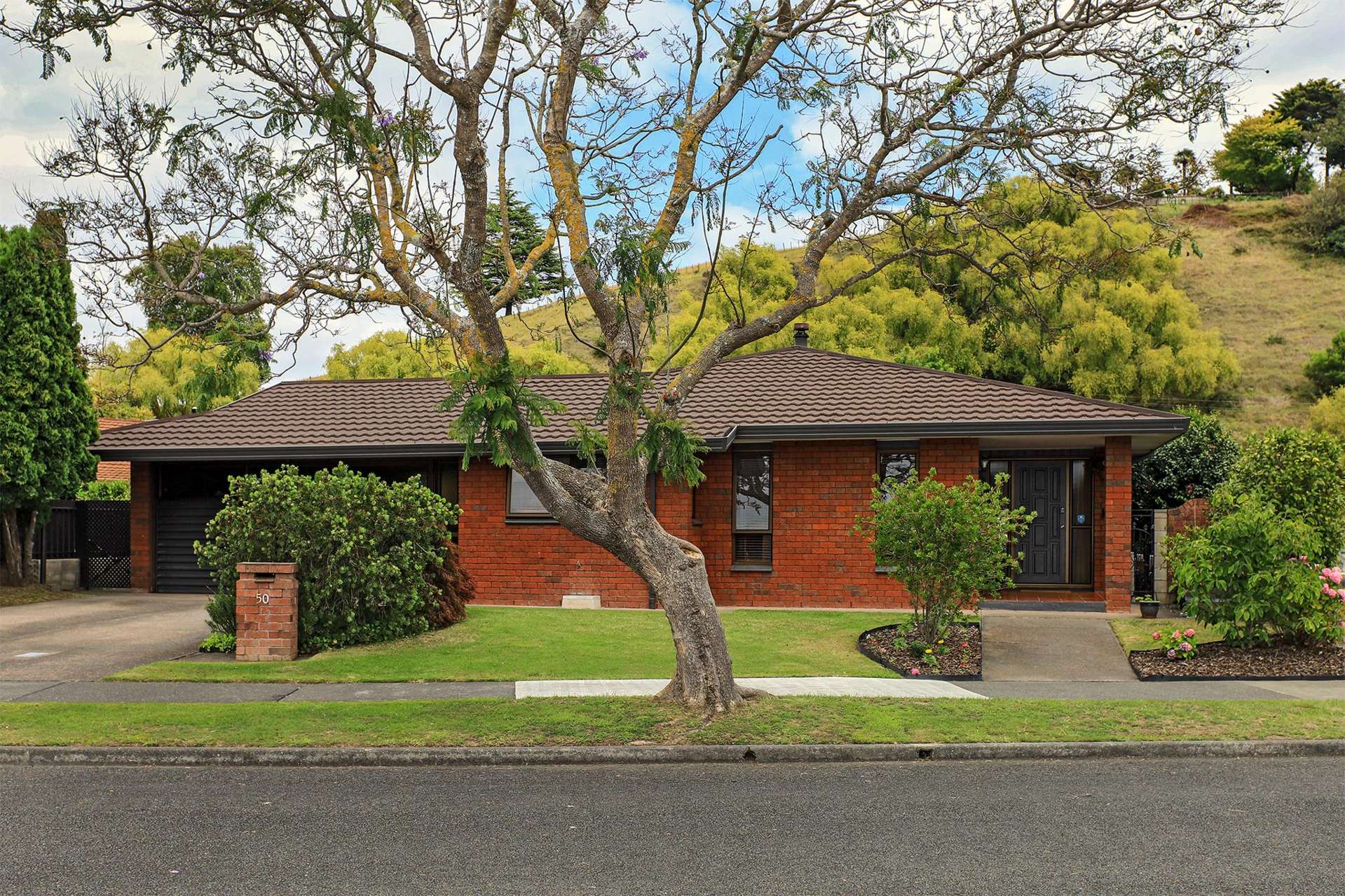 50 Ngarimu Crescent Taradale_0