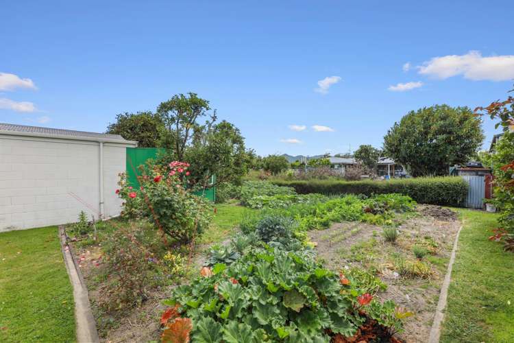 15 March Street Spring Creek_18