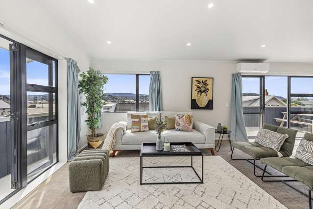 78C Queens Drive Lyall Bay_2