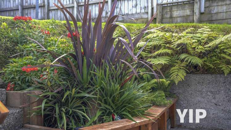 56 Batchelor Street Newlands_17