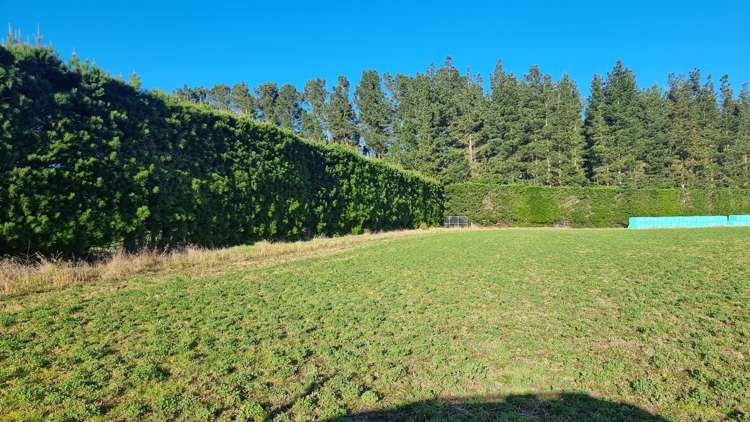 472 Pesters Road West Eyreton_6