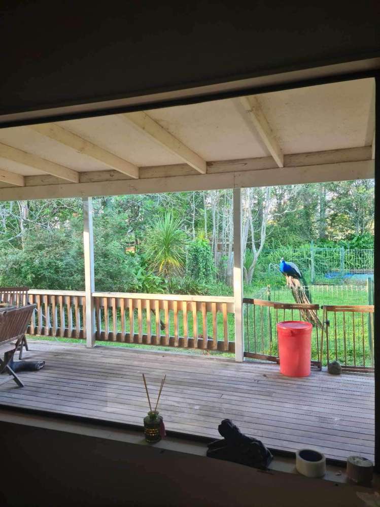 308 Monowai Road Wainui_20