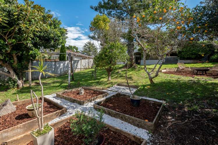 80 Alexander Street Cockle Bay_22