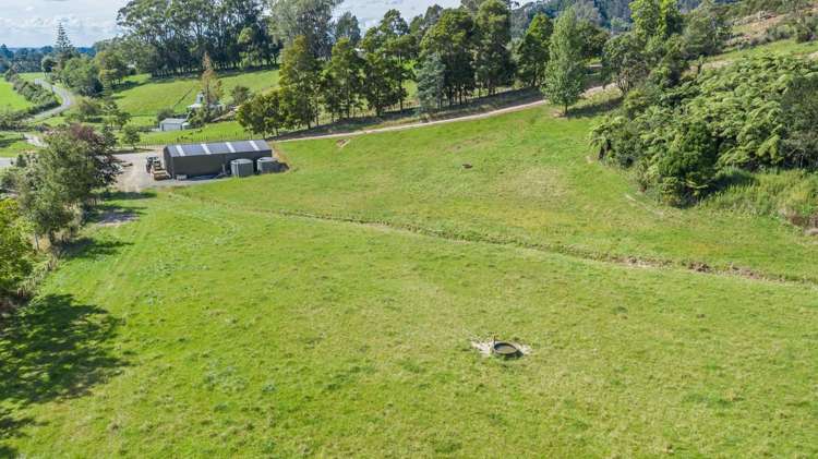 245B Wallace Road_5