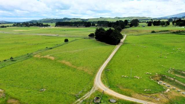 253 Oringi Road Dannevirke_1