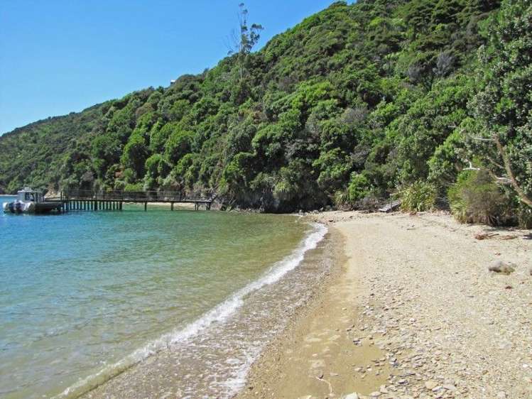 Patten Passage Marlborough_19