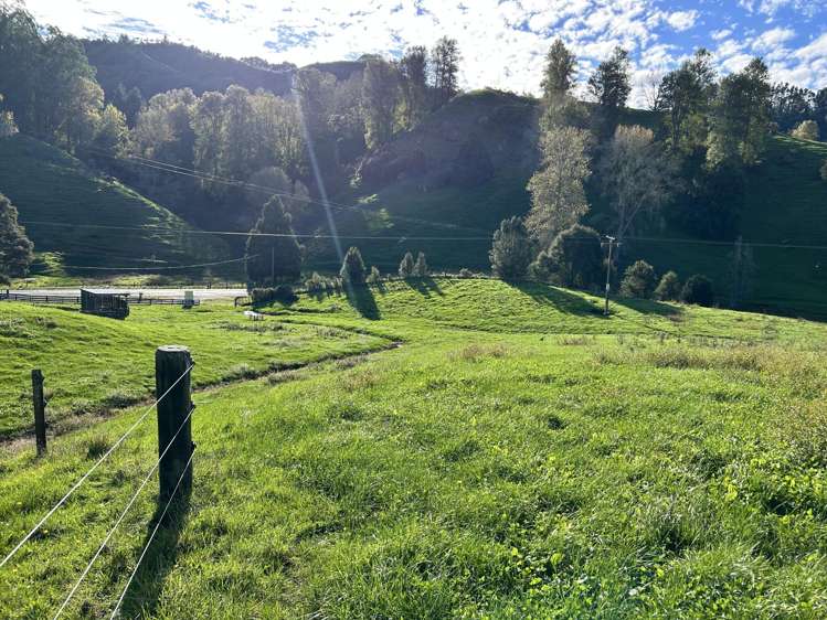 1/627 Waitomo Valley Road Otorohanga_6