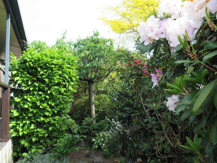 45 Newman Street Waimataitai_20