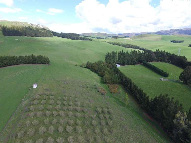 31 Kellaway Terrace Waikari_23