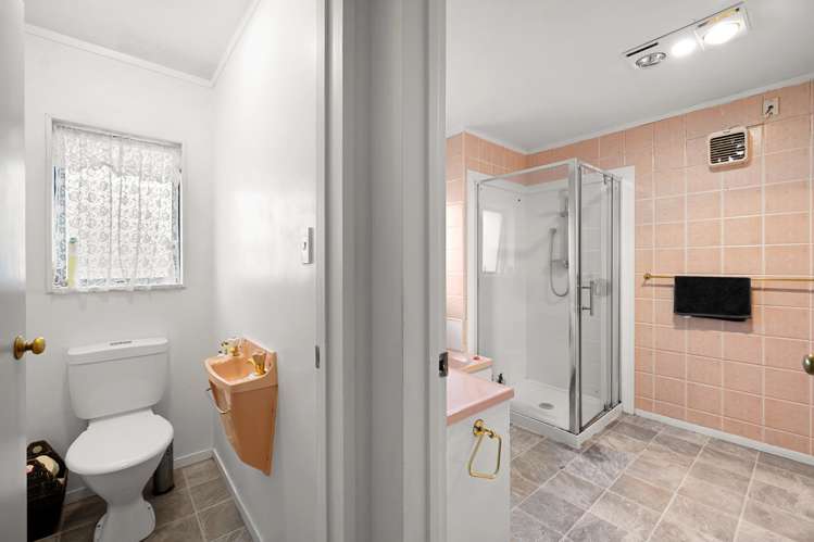 15 Tupelo Street Pukete_8