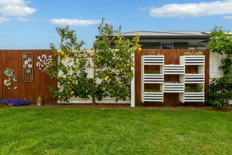 230 Ballintoy Park Drive Welcome Bay_3