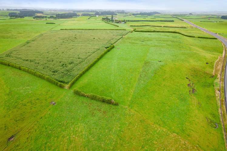 41a Ball Road Kakaramea_17