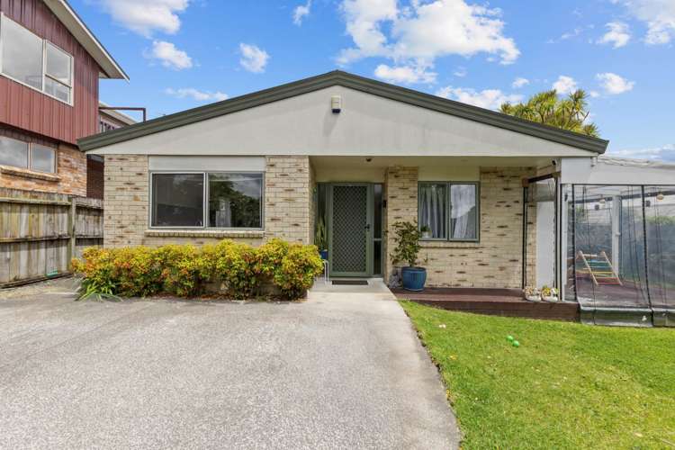 73A Rimu Street New Lynn_1