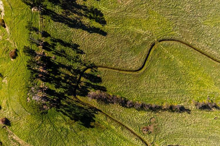 187 Hawksburn Road Nevis_13