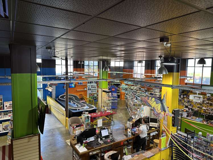 105 Dickens Street Napier South_4