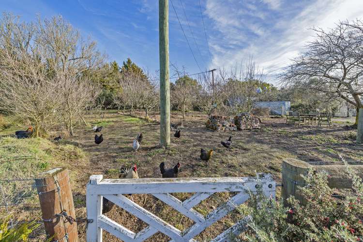 2 Hororata Dunsandel Road Dunsandel_17