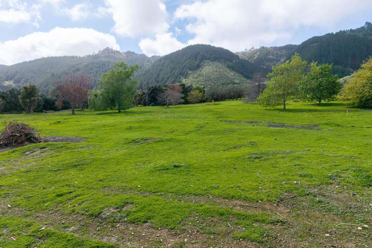 Lot Lot 1/59 Octavius Road Peka Peka_12