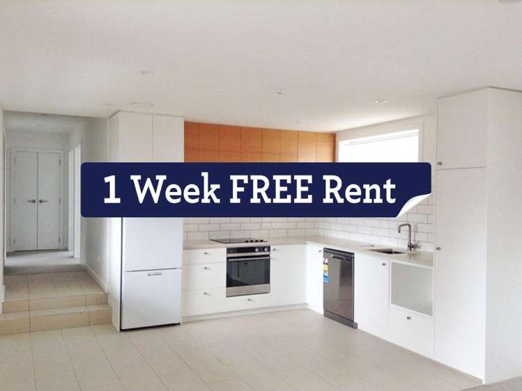 305/30 Enfield Street Mount Eden_0