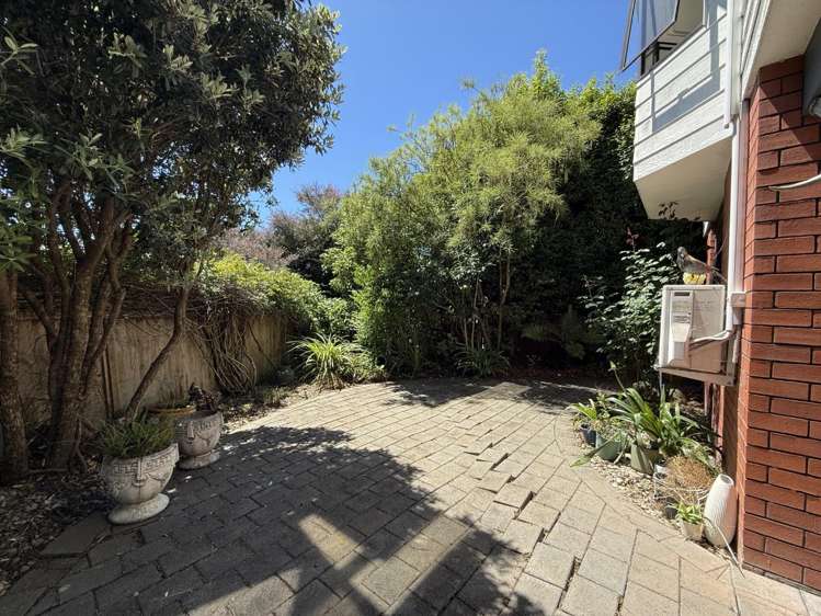 7 Burton Way 10796_10