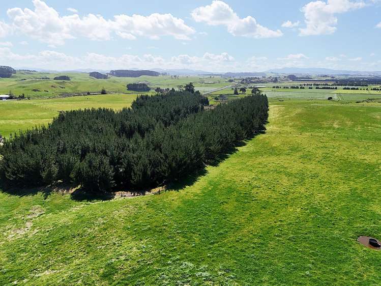 413a Baylys Coast Road Dargaville_12
