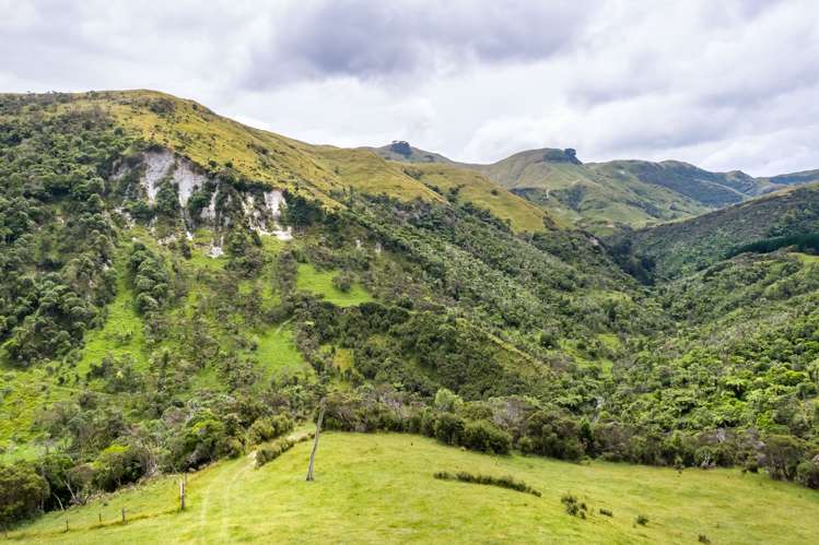 671 Saunders Road Tiraumea_7