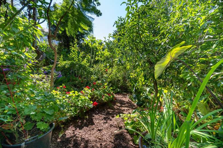 3/41 Omarunui Road Taradale_14