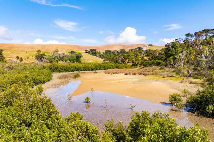 125a Linton Road Maungaturoto_8