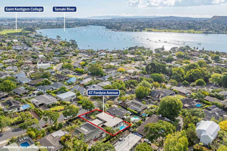 47 Fordyce Avenue Sunnyhills_29