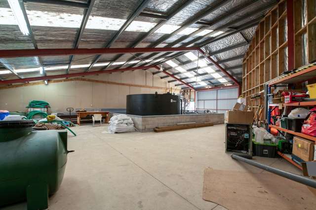 49, 53, 55 Depot Street Rotorua_4