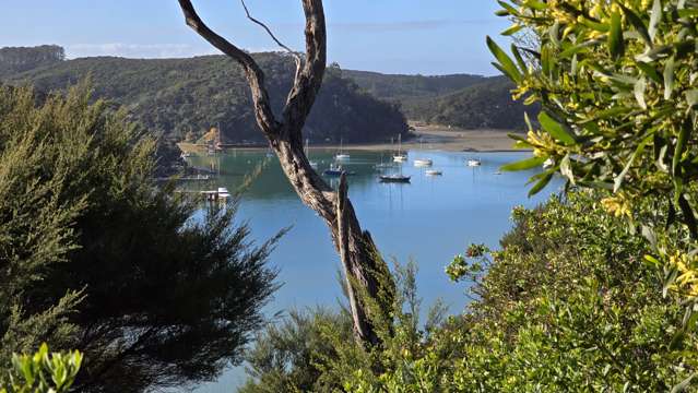 Lot 172 North Cove Kawau Island_4