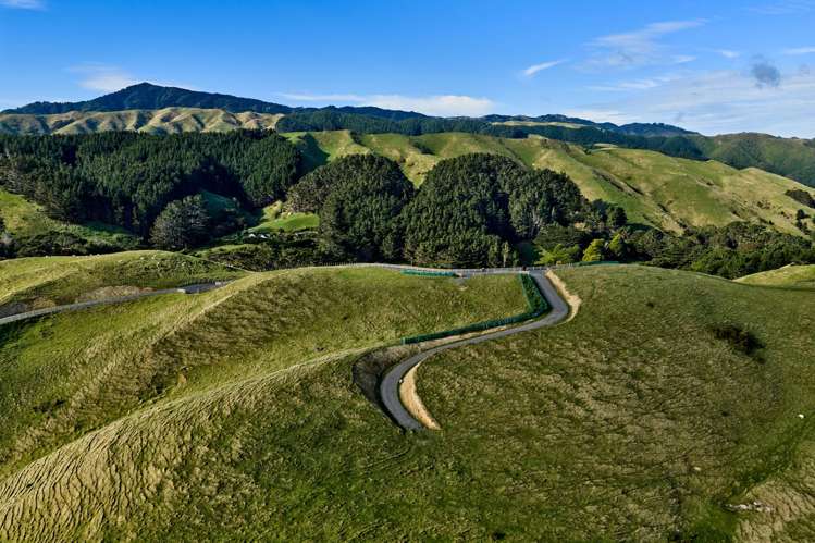 Lot 2,3 and 5/1275 Paekakariki Hill Road Paekakariki Hill_14