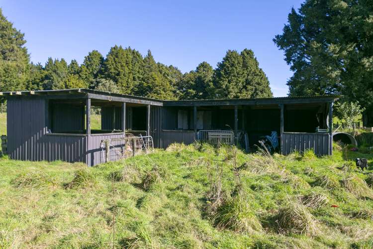 1667 Poihipi Road Oruanui_20