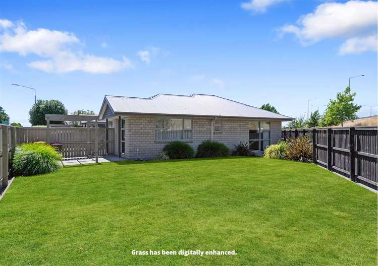 184 Lincoln Road Addington_7