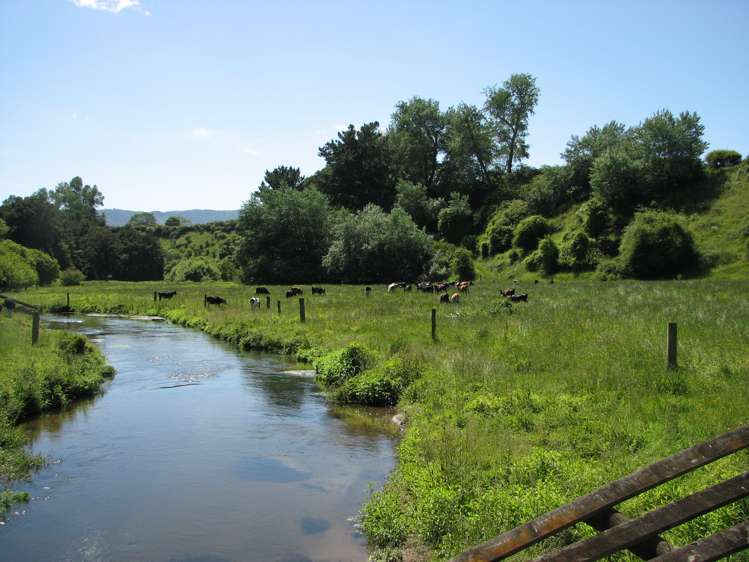 205 Taihoa North Road Matamata_12