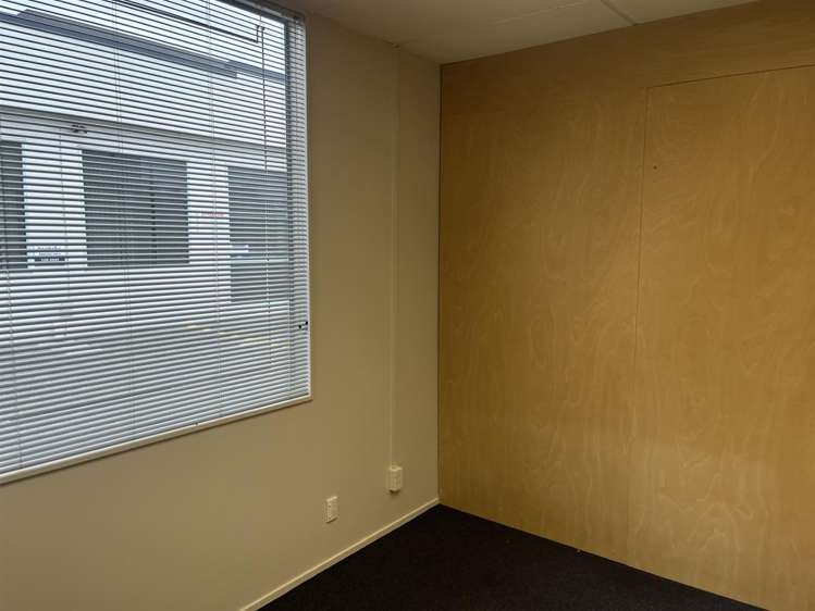 Unit 4 at 219 Collingwood Street Hamilton Central_5