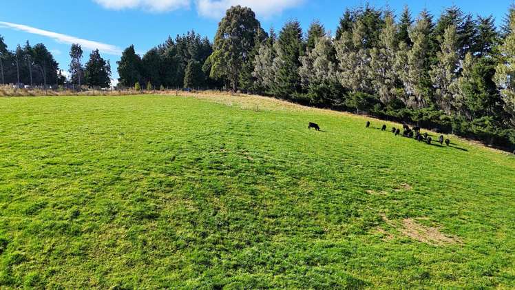 126 Ridgedale Road Te Anau_10