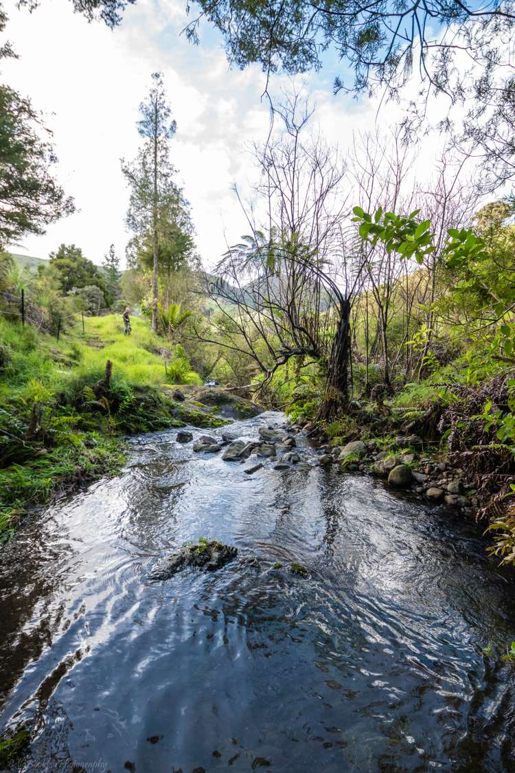 271 Takahue Saddle Road Takahue_16