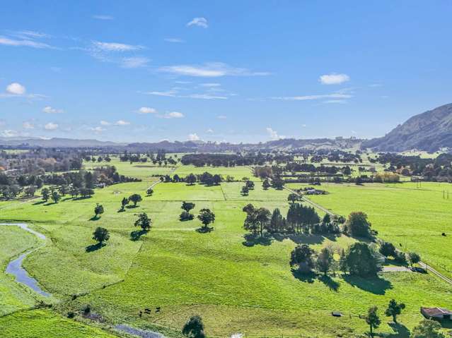 230 Loop Road Takaka_2