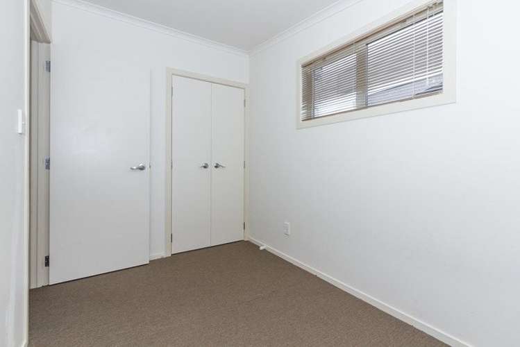 8B Snead Place Hamilton East_10