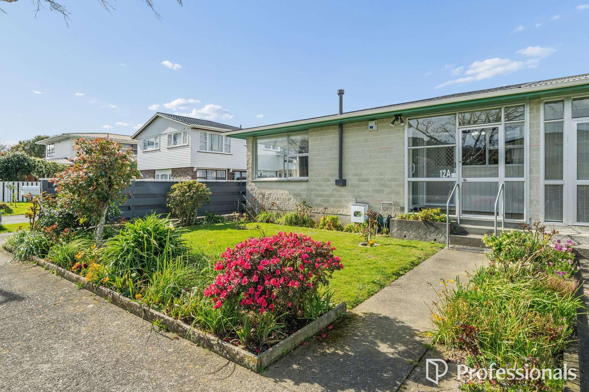 12a Chesney Street Avalon_0