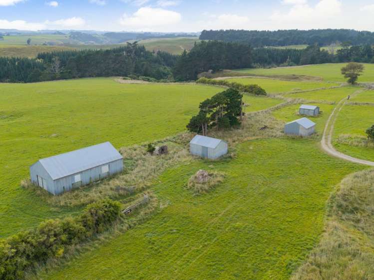 116 Karahaki Road Waverley_8