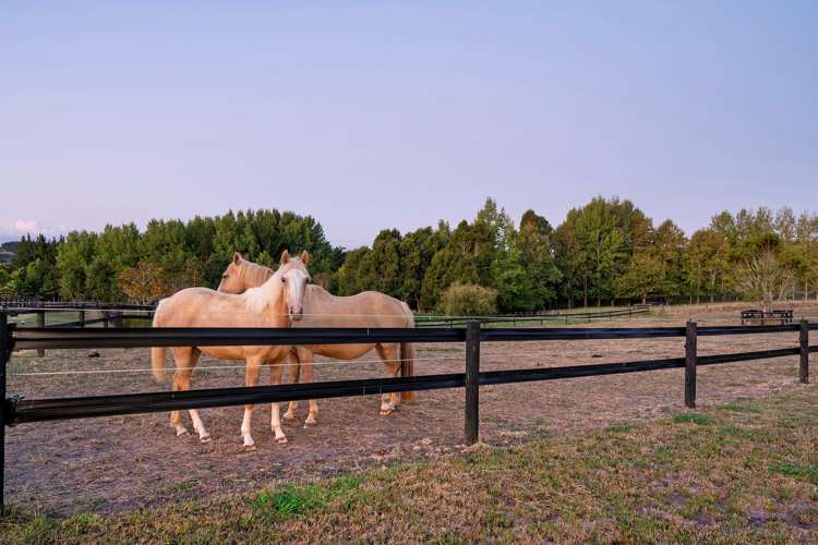 903 Old North Road Waimauku_36