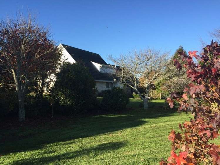 311 Opunake Road Cardiff_30