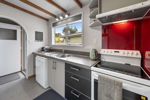 36 Southwark Avenue Tamatea_2