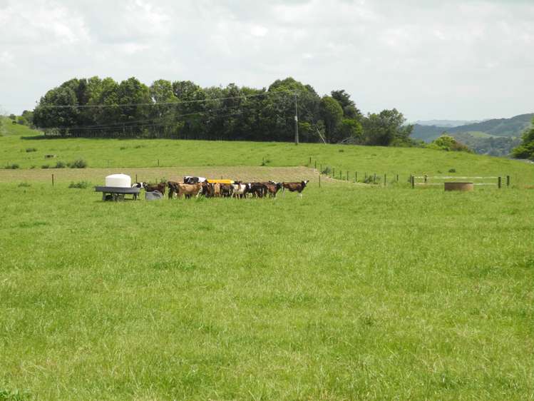 3198 State Highway 23 Raglan_7